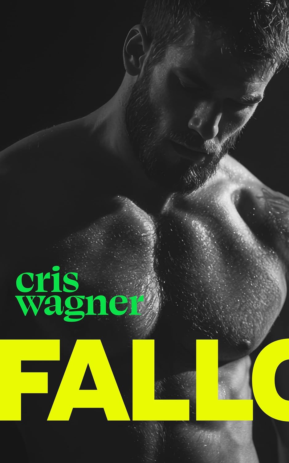 FALLO